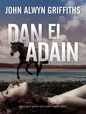 cover image of Dan ei Adain